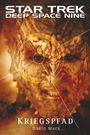 David Mack: Star Trek Deep Space Nine 11, Buch