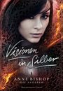Anne Bishop: Visionen in Silber, Buch