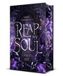 Janina Schneider-Tidigk: Reap my Soul - Geraubte Zeit, Buch