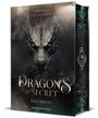 Andreas Suchanek: Dragons in Secret - Das Siegel, Buch