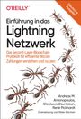 Andreas M. Antonopoulos: Einführung in das Lightning Netzwerk, Buch