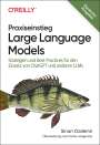 Sinan Ozdemir: Praxiseinstieg Large Language Models, Buch