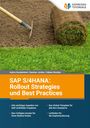 Fabian Kiuntke: SAP S/4HANA: Rollout Strategies und Best Practices, Buch
