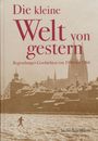 Stefan Reichmann: Die kleine Welt von gestern, Buch