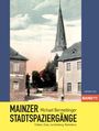 Michael Bermeitinger: Mainzer Stadtspaziergänge XI, Buch