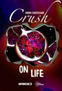 Text: "SHIRIN EGHTESSADI Crush ON LIFE". Darstellung eines aufgeschnittenen Granatapfels in kräftigen Farben.