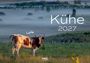 Texte: "Kühe 2027", "Lotte". Eine Kuh steht auf einer Wiese, im Hintergrund liegt Nebel über der Landschaft.
