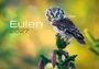 Text: "Eulen 2027, J-L. Klein/M. L. Hubert, Caelum". Eine detailreiche Eule auf einem Ast, umgeben von unscharfem Laubwerk.