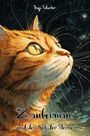 „Zaubermaus und der Ruf der Sterne“. Titelbild: Nahaufnahme einer orangen Katze, die in den Sternenhimmel blickt.