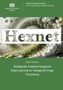 Tobias Schlosser: Biologically Inspired Hexagonal Deep Learning for Hexagonal Image Processing, Buch