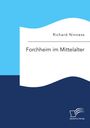 Richard Ninness: Forchheim im Mittelalter, Buch