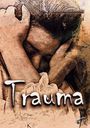 Andreas Schwedt: Trauma, Buch