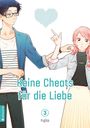 Fujita: Keine Cheats für die Liebe 03, Buch