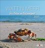 "WATT'N MEER - Die Natur im Nationalpark 2027." Eine Krabbe an einem Sandstrand mit Meer im Hintergrund.