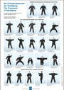 : Die 15 Ausdrucksformen des Taiji Qigong Poster, Div.