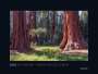: Alte Bäume, Sinnbilder des Lebens - KUNTH Wandkalender 2025, KAL