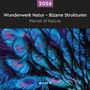 : Wunderwerk Natur - Bizarre Strukturen - KUNTH Broschurkalender 2026, KAL