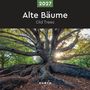 Alte Bäume - KUNTH Broschurkalender 2027, KAL