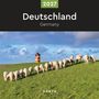 „2027 Deutschland Germany“ oben auf schwarzem Hintergrund. Schafe auf grüner Wiese, bunter Leuchtturm im Hintergrund.