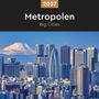 2027 Metropolen Big Cities. Skyline mit modernen Gebäuden und einem schneebedeckten Berg im Hintergrund.