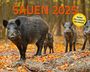 : Sauen Kalender 2025 Jagd-Kalender im XXL-Format, KAL