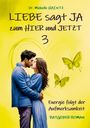 Michelle Haintz: LIEBE sagt JA zum HIER und JETZT 3, Buch