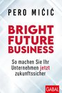 Pero Micic: Bright Future Business, Buch