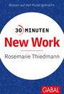 Rosemarie Thiedmann: 30 Minuten New Work, Buch