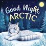 Emily Johnson: Good Night, Arctic, Buch