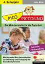 Jana Blum: PICO-Piccolino / Klasse 4, Buch