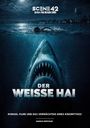 „Der weiße Hai“, eine bedrohliche Unterwasserszene mit riesigem Hai unter einem schwimmenden Menschen bei Nacht.