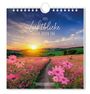 : Postkartenkalender 2025 Lichtblicke, KAL