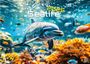 : Sealife - verborgene Tiefen - 2025 - Kalender DIN A3, KAL