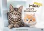 : Miau - Unsere Stubentiger - Der Katzenkalender - 2026 - Kalender DIN A3, KAL
