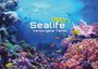 "2027 Sealife Verborgene Tiefen" in weißen Buchstaben. Bunte Fische schwimmen um prachtvolle Korallen in einer Unterwasserlandschaft.