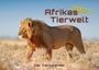 Text: Afrikas Tierwelt 2027, Der Tierkalender. Ein Löwe läuft durch eine trockene Landschaft, im Hintergrund blauer Himmel.