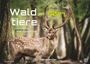 „Waldtiere 2027“ und „Heimische Waldbewohner“ sind in einem Wald mit einem Hirsch abgebildet.