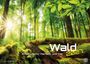 „Wald 2027. Erholung für Mensch und Tier.“ Sonnenstrahlen in einem grünen Wald, auf einem moosbedeckten Baumstamm.