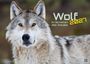 „Wolf 2027: Im Schatten des Waldes“. 

Ein Wolf mit aufmerksamem Blick, in einem natürlichen Hintergrund.