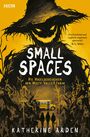 Katherine Arden: Small Spaces Buch 1, Buch