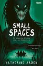 Katherine Arden: Small Spaces Buch 3, Buch