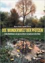 Ursula Kosser: Die Wunderwelt der Pfützen, Buch