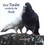 Eva Lübbe: Eine Taube entdeckt die Stadt, Buch