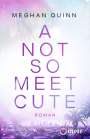 Meghan Quinn: A Not So Meet Cute, Buch