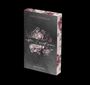 Julia Steinbach: After I met you, Buch