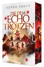 "Die dem Echo trotzen" von Ferro Frost. Eine Illustration mit Kriegerfiguren vor asiatischen Tempeln und Bergen in Rot- und Goldtönen.