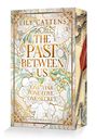 Lily Cattens: The past between us, Buch