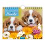 : Trötsch Notizkalender Querformat Notizkalender Hunde 2025 mit 12 Postkarten, KAL