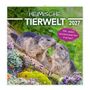 „HEIMISCHE TIERWELT 2027“, „Mit vielen wissenswerten Fakten!“ Zwei Murmeltiere interagieren in bunter Blumenkulisse.