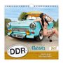 „DDR-Classics“, „schärfer als die Vopo erlaubt (hätte)“, 2027. Eine Frau posiert neben einem blauen Retro-Auto.